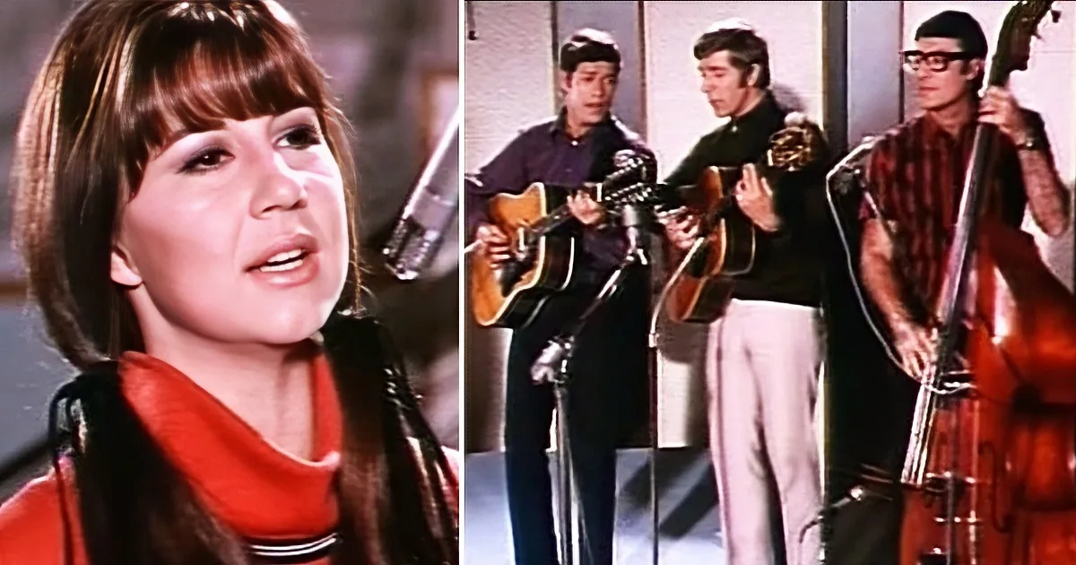 ''''I''ll Never Find Another You'' Is a Folksy Time Warp Back to 1965 That Everyone Is Loving''
