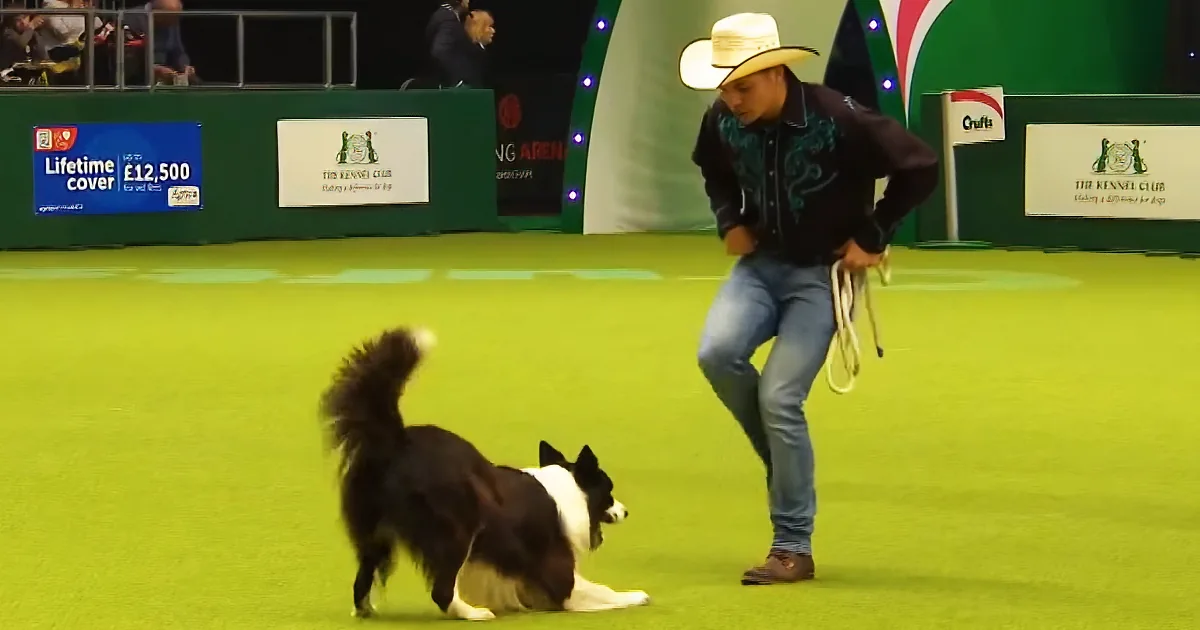 Fans Can''t Stop Watching Cute Cowboy & His Dancing Dog