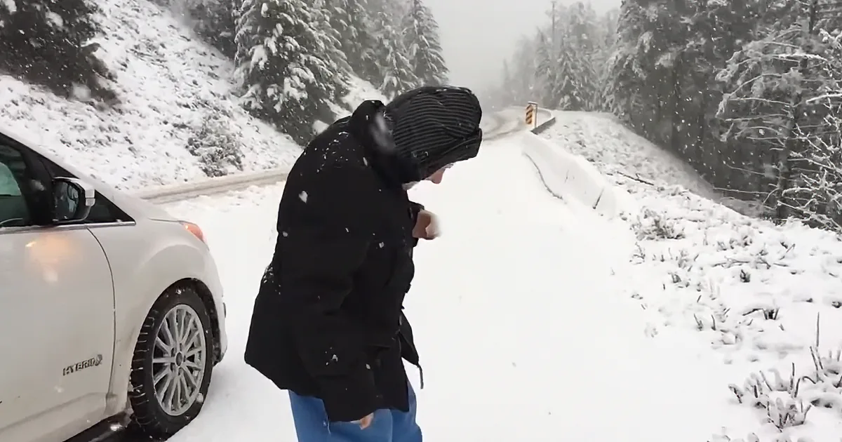 101-Year-Old Mom Wants out of the Car Immediately. Son Records Footage That Has Everyone Talking