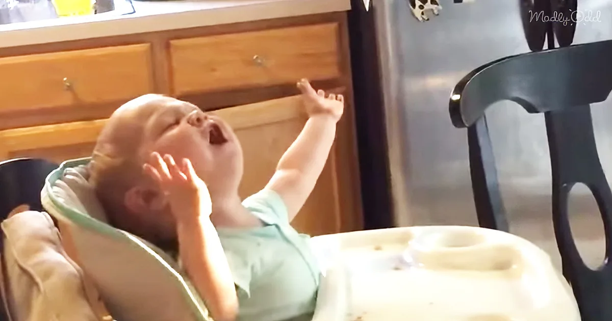 Dad Sings National Anthem, but Baby Steals the Show With Her Dramatic Backup Performance