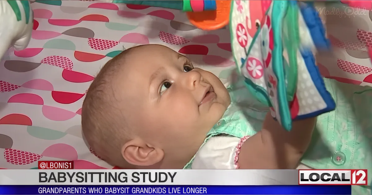 Grandparents Who Babysit Live Longer