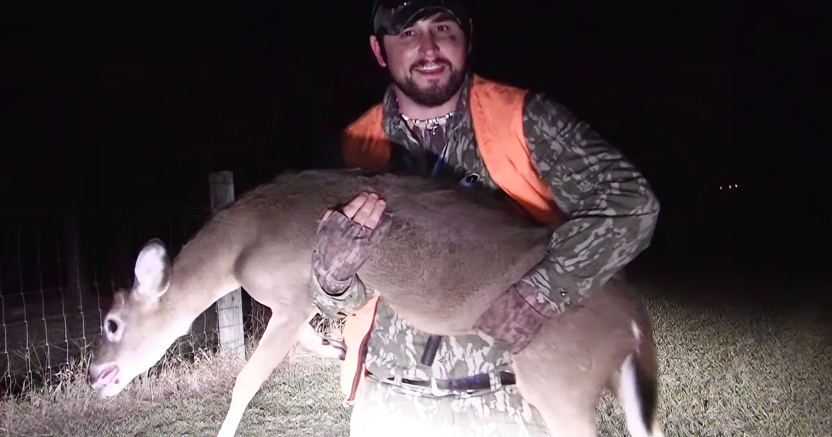 Scared Deer Goes Limp in Hunter's Arms When She Realizes He's Not There to Kill Her