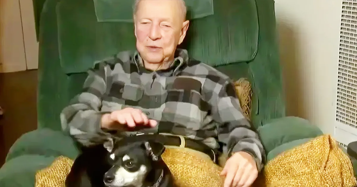 Couple Adopts Vet - Wildfire