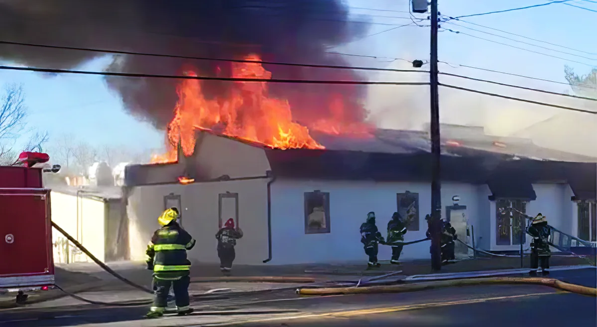 Dog saves her puppies from fire