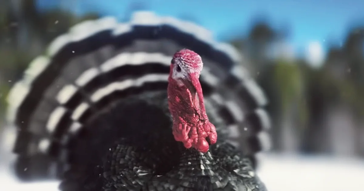 Colonel Sanders & His Chickens Just Entered the Battle of the 2018 Christmas Adverts for a Good Chuckle