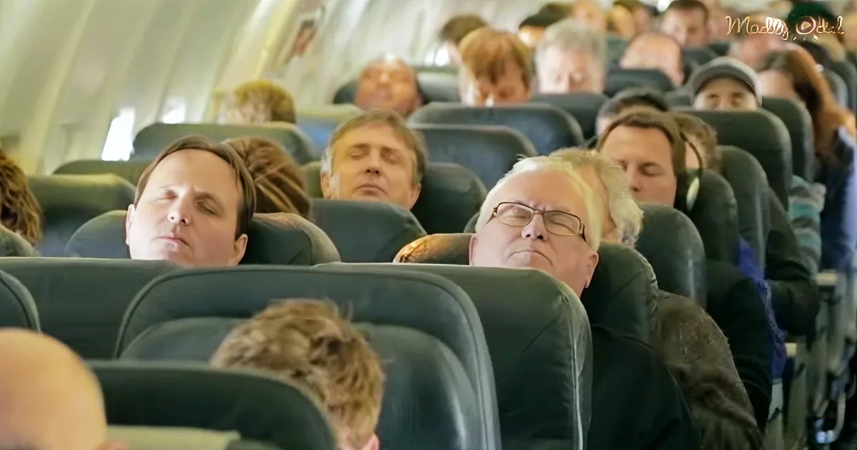 Passengers Fall Asleep on Their Flight & Wake up to a Completely Unexpected Christmas Surprise