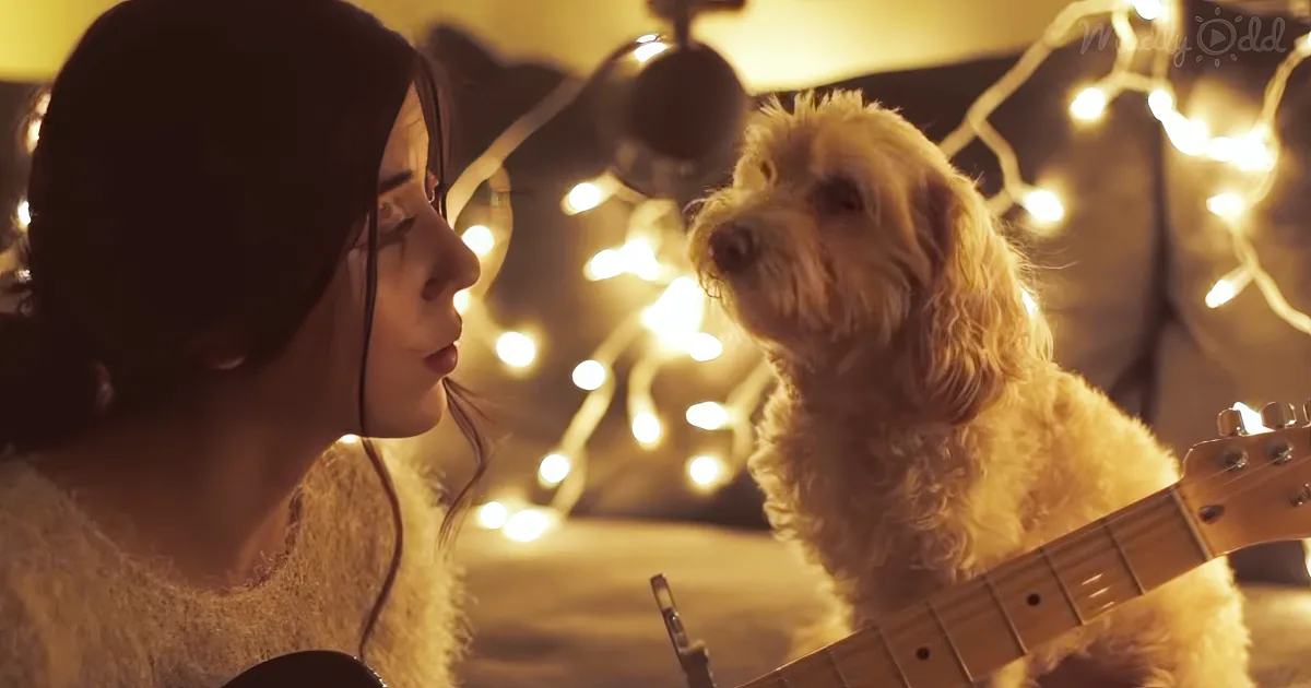 Woman Serenades Dog
