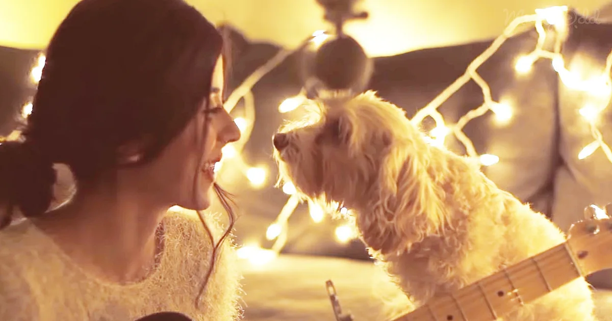 She Sings Her Dog a Gentle Christmas Tune - the Pup's Reaction Proves Christmas Magic Is Real