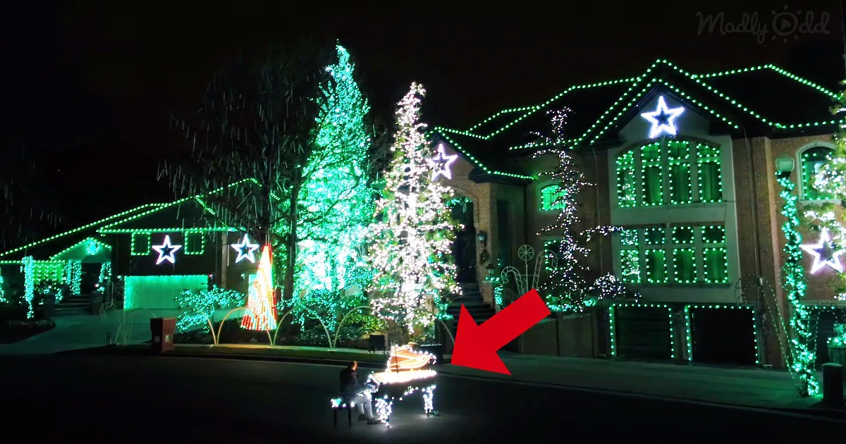 He Controls 500,000 Christmas Lights With His Piano - Keep an Eye on Those Houses as He Starts to Play