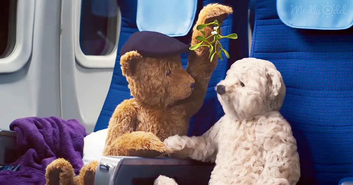 Grandma & Grandpa Bear Melt Hearts When They Go Home for the Holidays