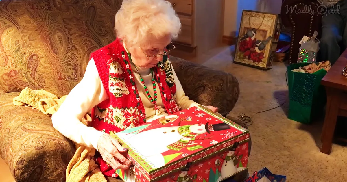Grandma Gets a Christmas Present With a Kitty Inside - but Wait, the Real Magic Is Coming
