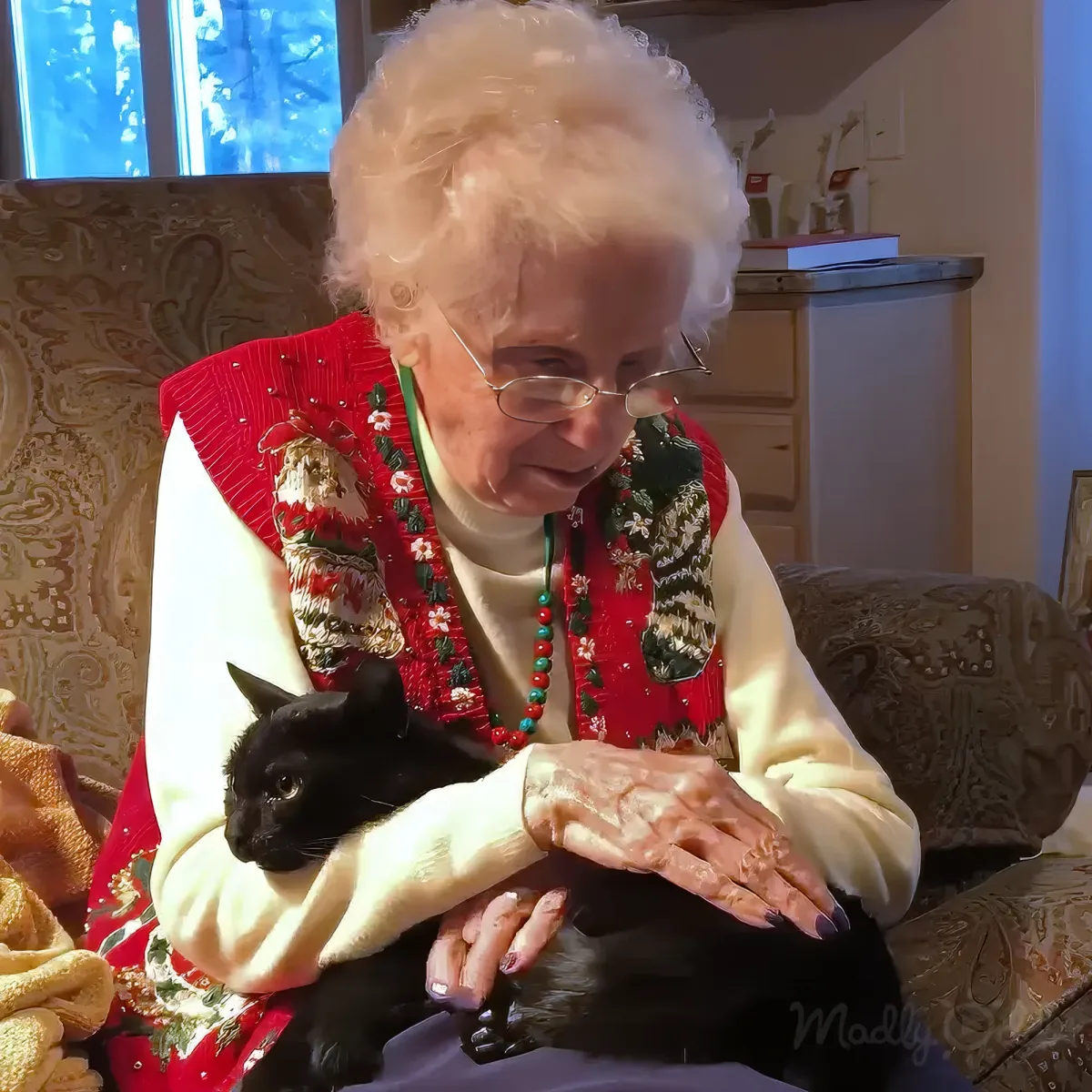 An elderly woman with white hair and glasses holds a black cat, wearing a red vest with floral patterns and a green necklace.