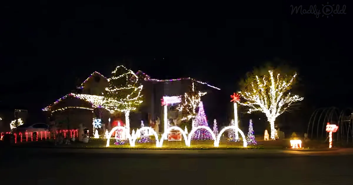 Baby Shark Christmas Lights