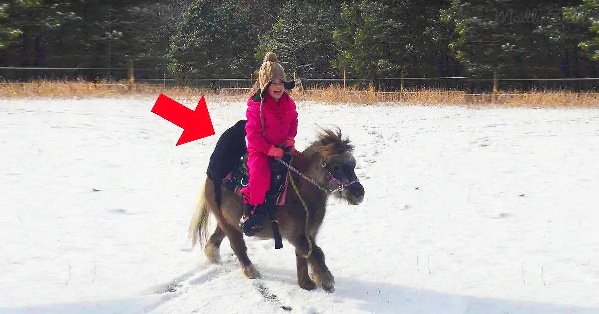 A child in pink rides a small pony in a snowy field, wearing a winter hat and smiling.