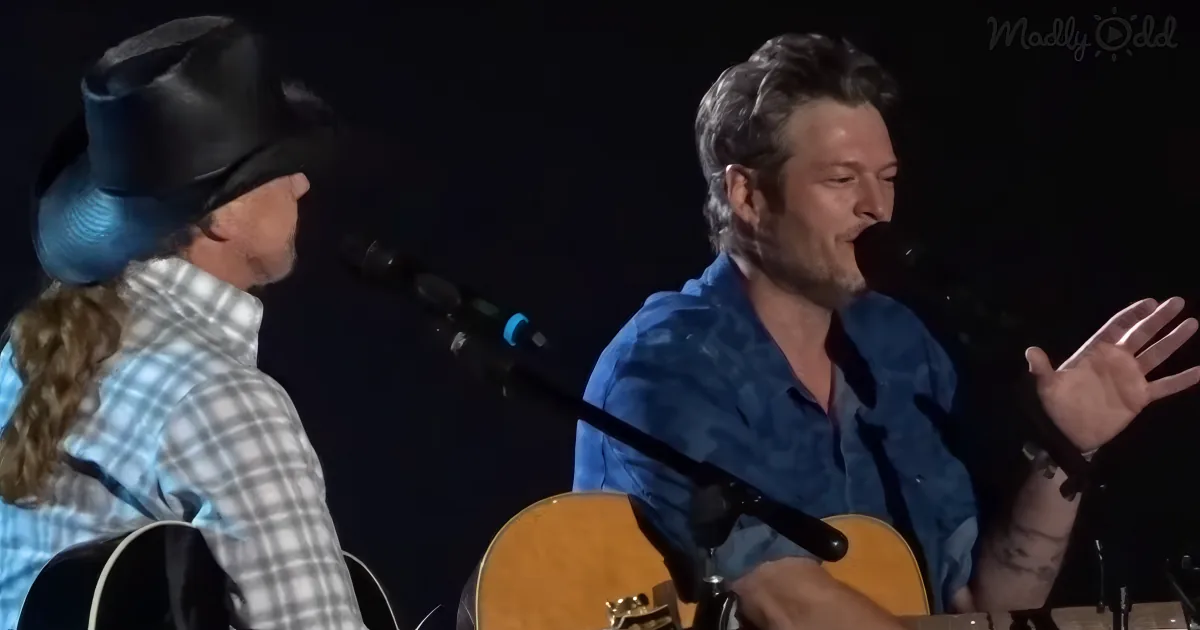 Two musicians, one in a cowboy hat, are performing with acoustic guitars on stage.