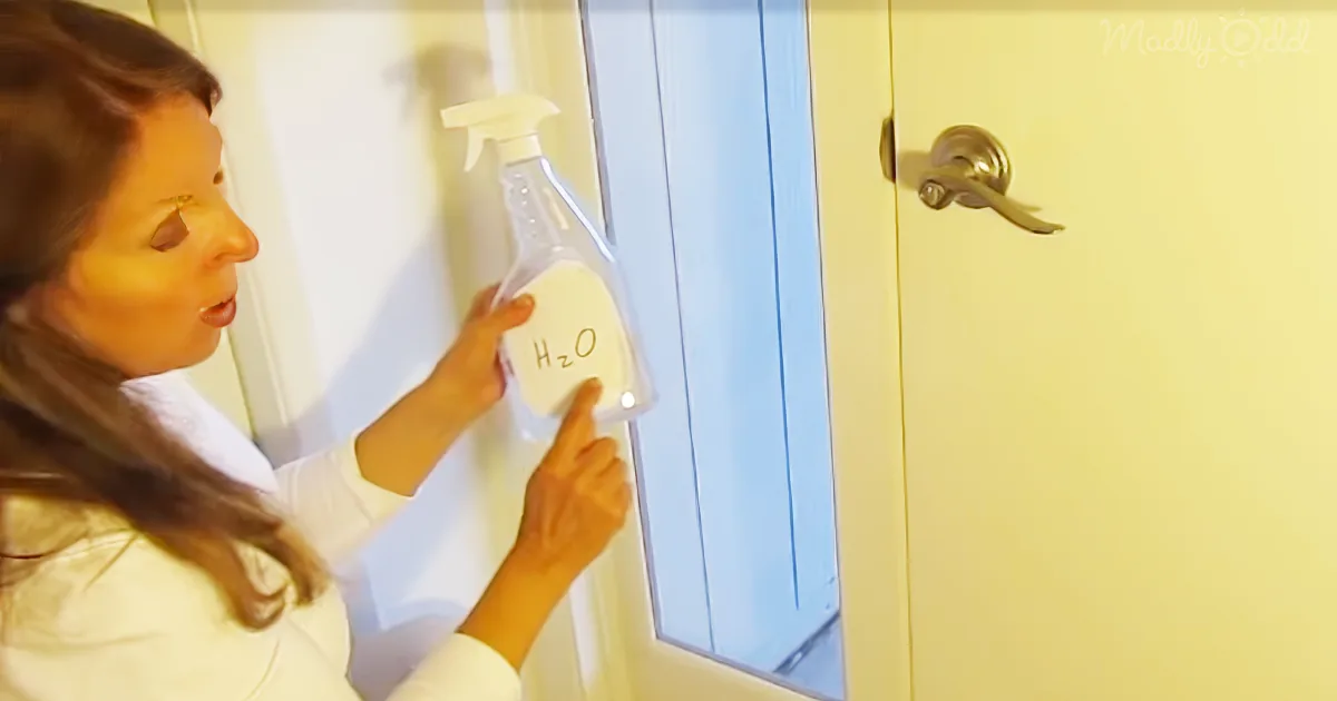 Bubble Wrap Insulation