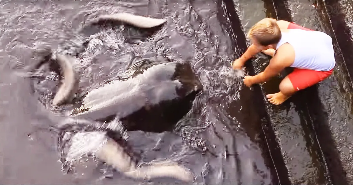 A child in red shorts and white shirt climbs a waterfall, splashing water around.