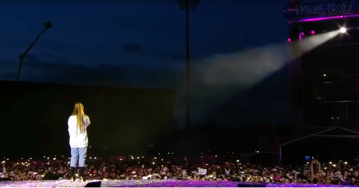 A person with long hair stands on stage, facing a large crowd illuminated by spotlights and holding up lights.