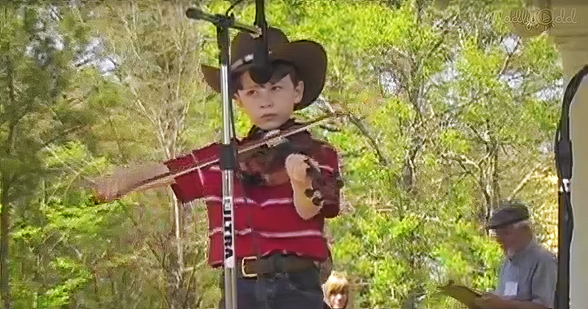 Boy at fair playing fiddle, contest - serious face