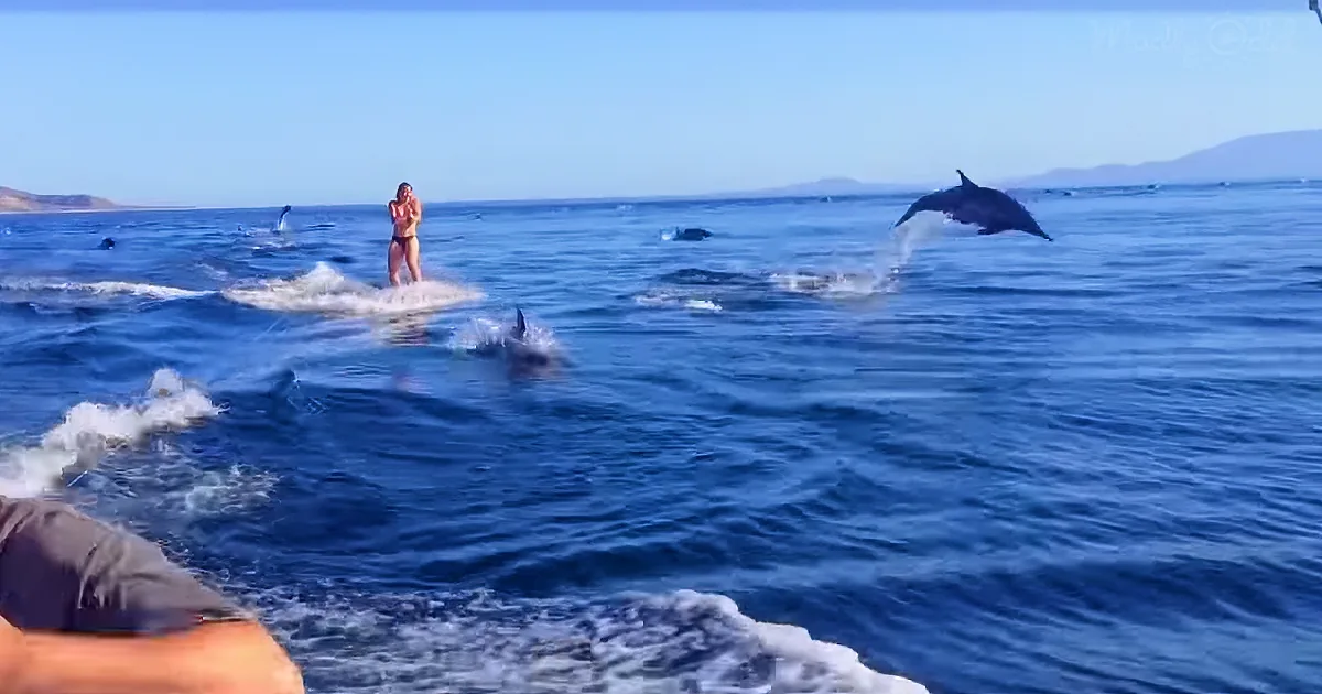 She Was Casually Water-Skiing, Then When She Looks Down - Her Heart Skips a Beat