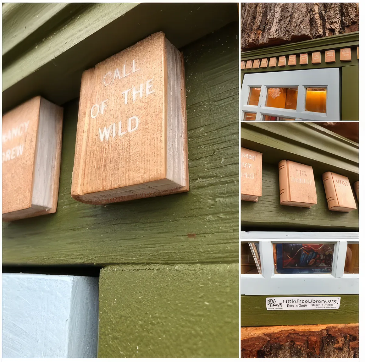Library in Tree Closeup