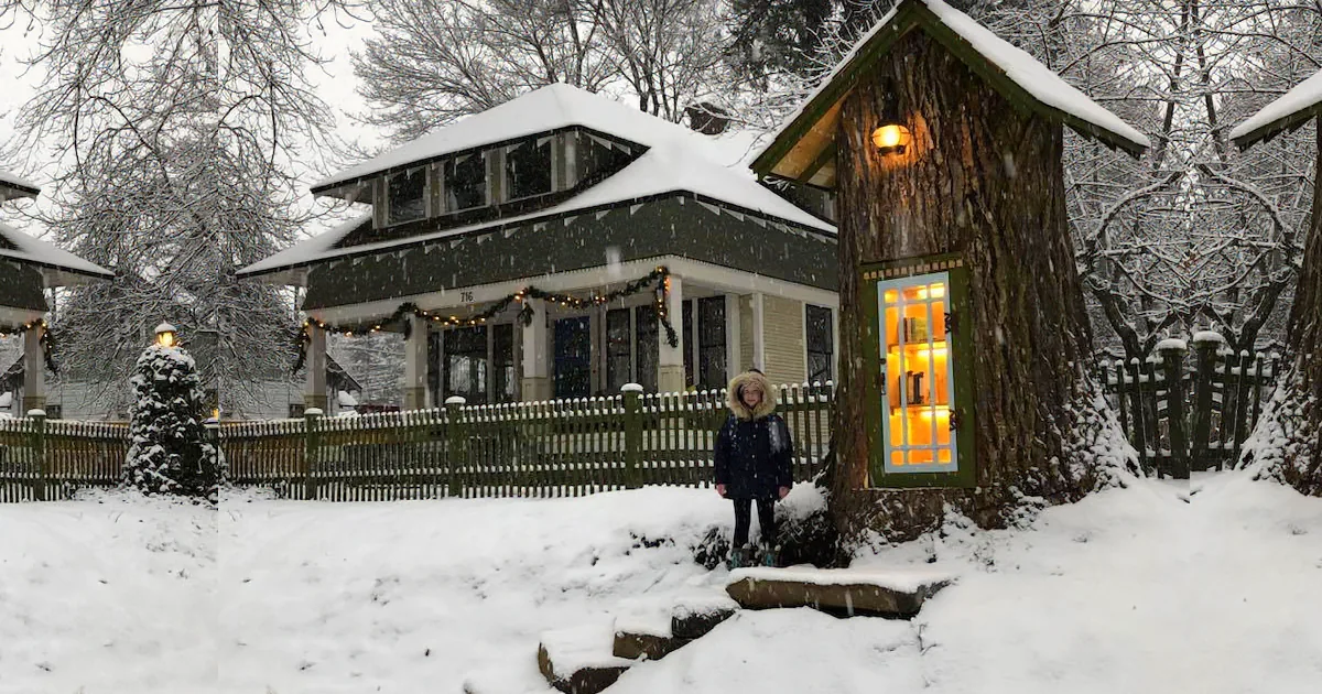 Woman Transforms 110-Year-Old Dead Tree Into Free Little Library - Take a Peek Inside