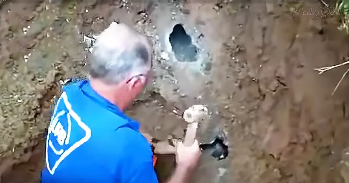 Man Digs a Hole in the Ground, but What Emerged From Within Broke My Heart Into Pieces