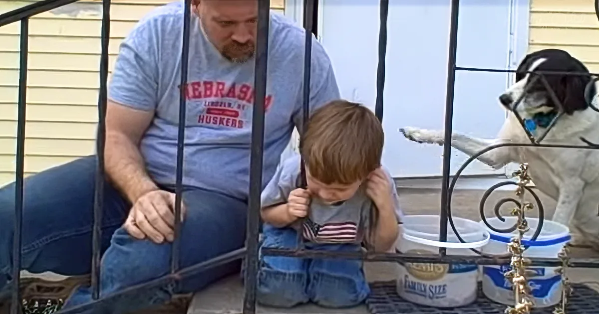 A man and a child are sitting on a porch swing, with a dog standing behind them, all looking at something off-camera.