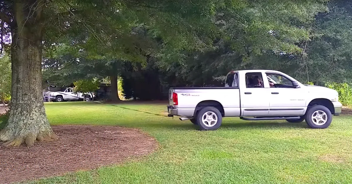 Wife Can''t Stop Laughing When ''Clever'' Husband Decides to Pull out Tree With His Truck