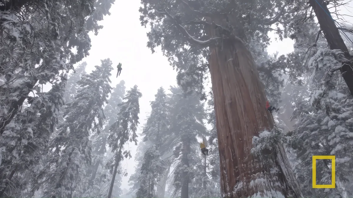 National Geographic Team at Sequoia National Park