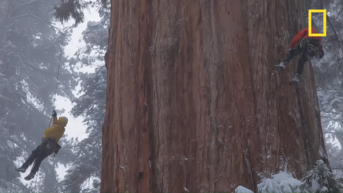 Nevada’s Sequoia National Park