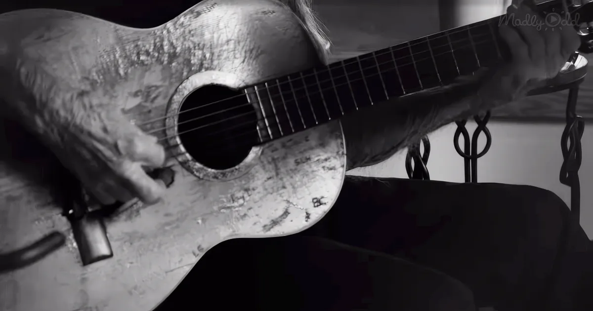 Willie Nelson's Guitar, Trigger