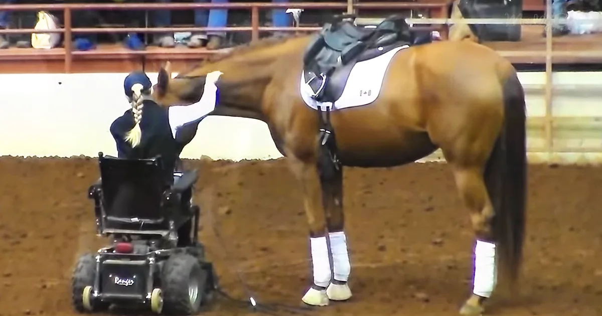 Horse Approaches Disabled Woman - Suddenly, the Crowd Falls Silent