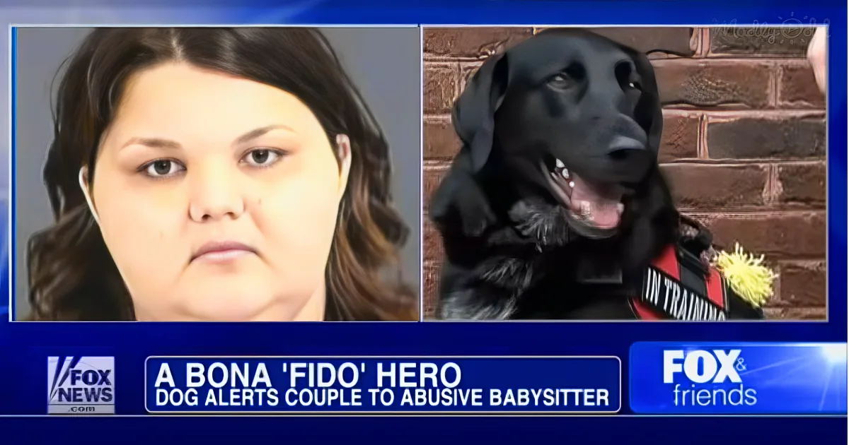 Dog saves baby