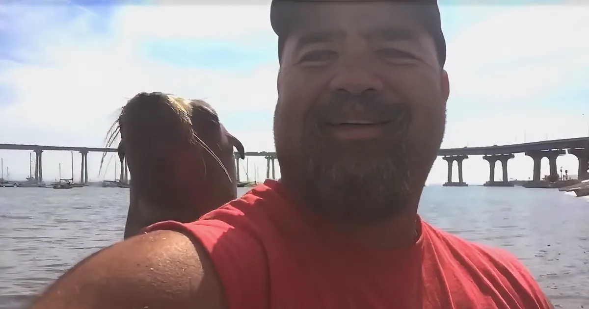 Boater Shares Heartwarming Video After Friendly Sea Lion Hops on Board for Hugs