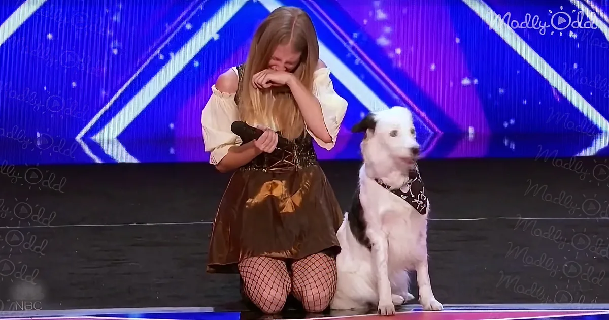 Simon Shows Heart, Saves Dog and Trainer on America's Got Talent