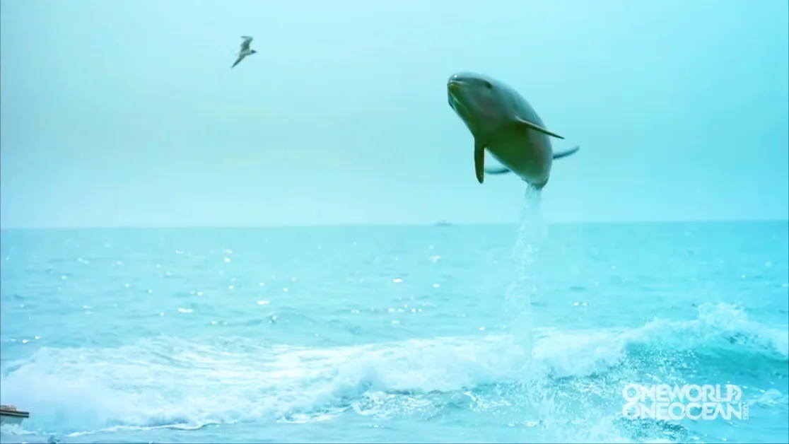 A dolphin leaps out of the ocean, creating a splash, with a bird flying in the sky above.