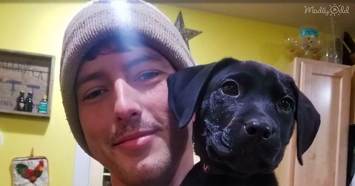 Deaf Man Rescues Deaf Puppy and Teaches Him Sign Language