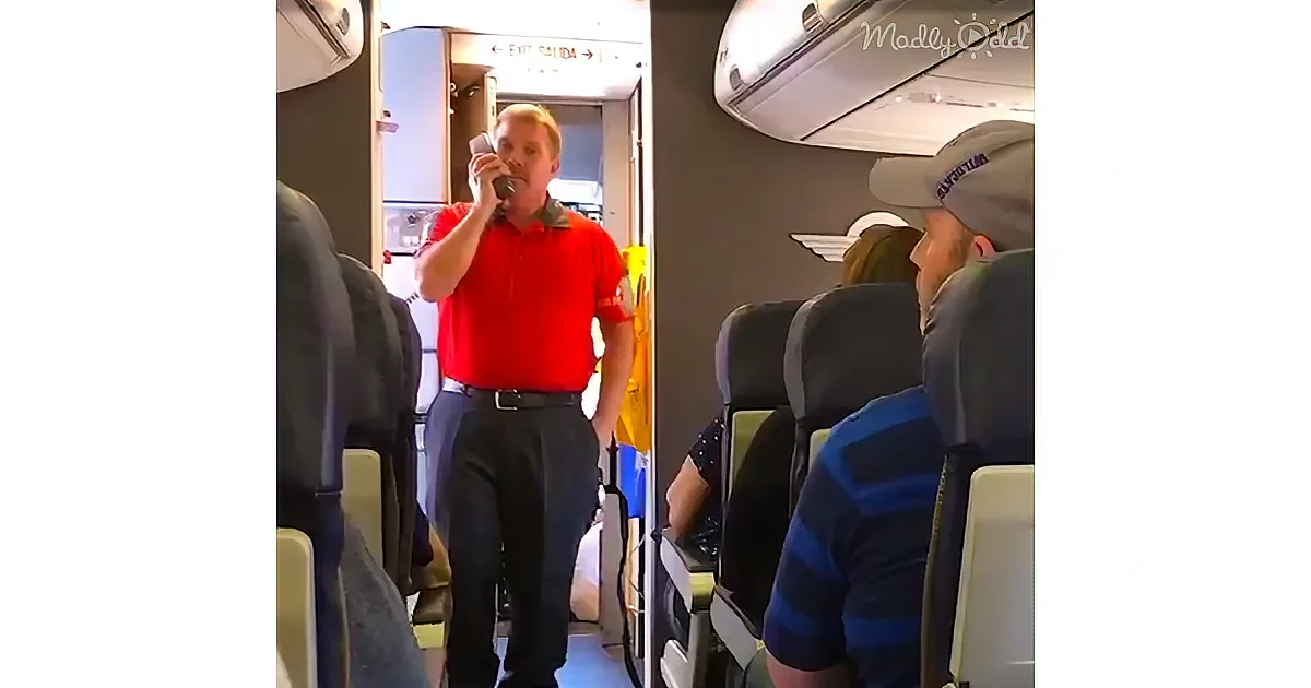 Flight Attendant Sings ''You Raise Me Up'' for Grieving Mom on Flight