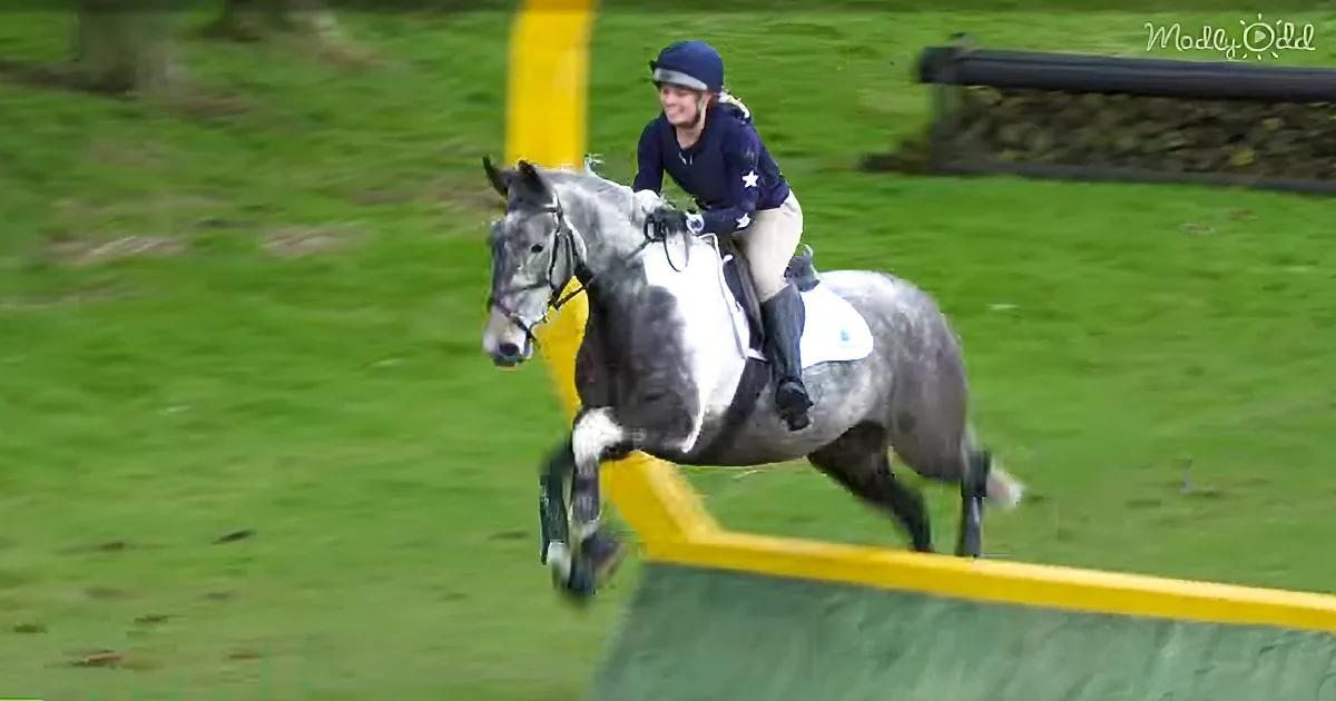 Rescued Foal Found in Freezing Winter Becomes the Star of the Show