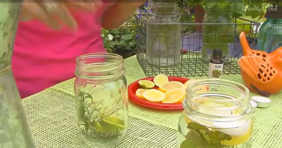 How to Make a Natural Insect Repellent Candle