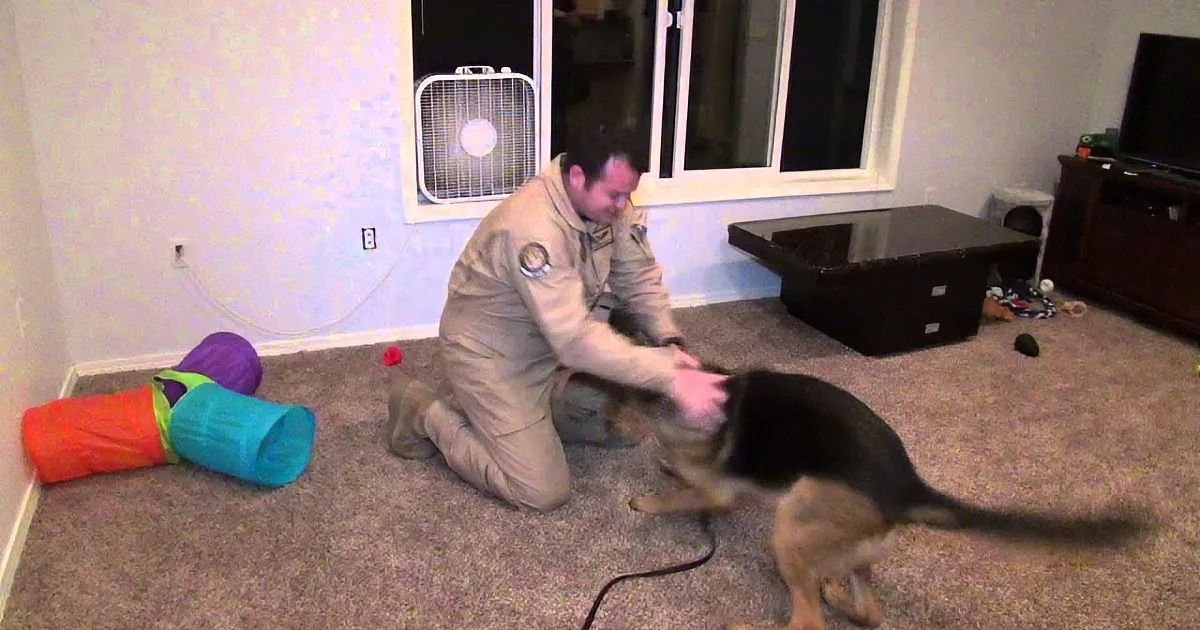 Staff Sergeant Comes Home From Deployment. but Its What His Dog Did Next That Moved My Heart!