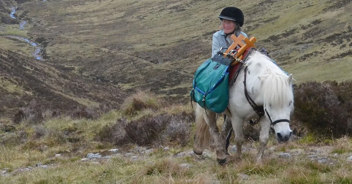 A person rides a white horse with a green bag and wooden cross, traversing a grassy, hilly landscape.