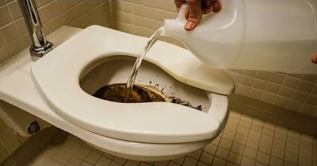 He Poured Vinegar in the Toilet Bowl. Why... the Reason Is a Very Smart One!