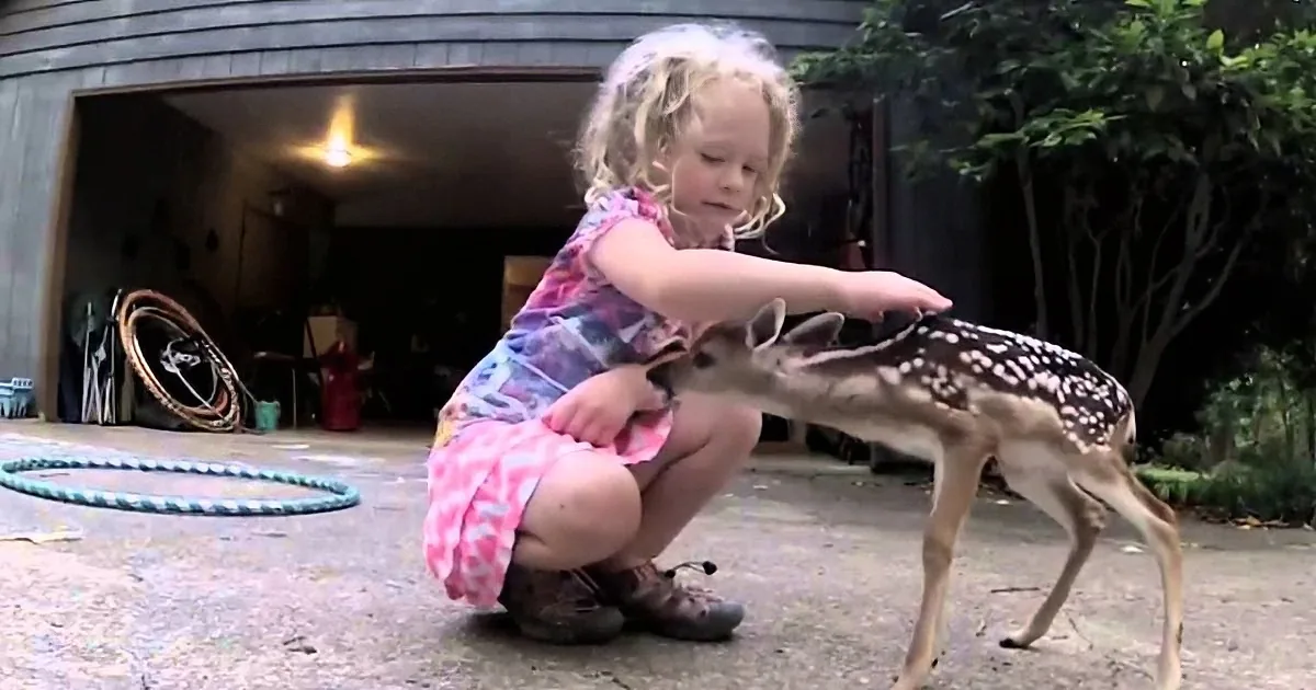 A young girl in a colorful dress pets a fawn in a driveway near a garage.