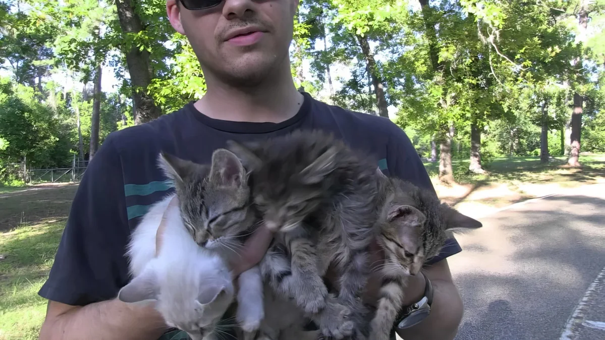 They Found Some Abandoned Babies in the Middle of the Woods. What They Do Next? Incredible!