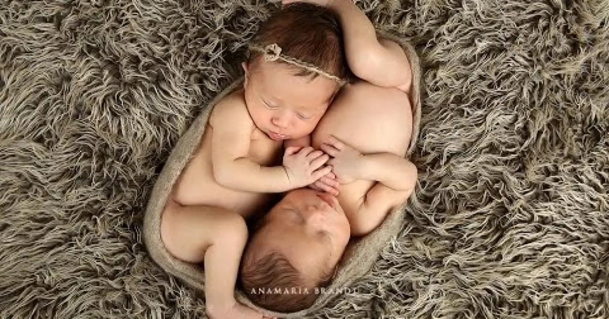 Mom Took Her Twins for a Photo Shoot. but Wait Till You See the Results! I'm Melting!