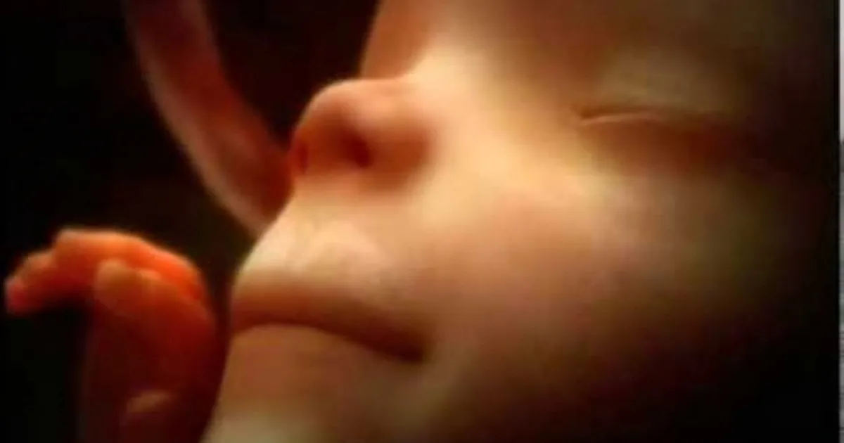 I Had No Idea Babies Do This When Inside the Womb. You''ll Not Believe What You See...