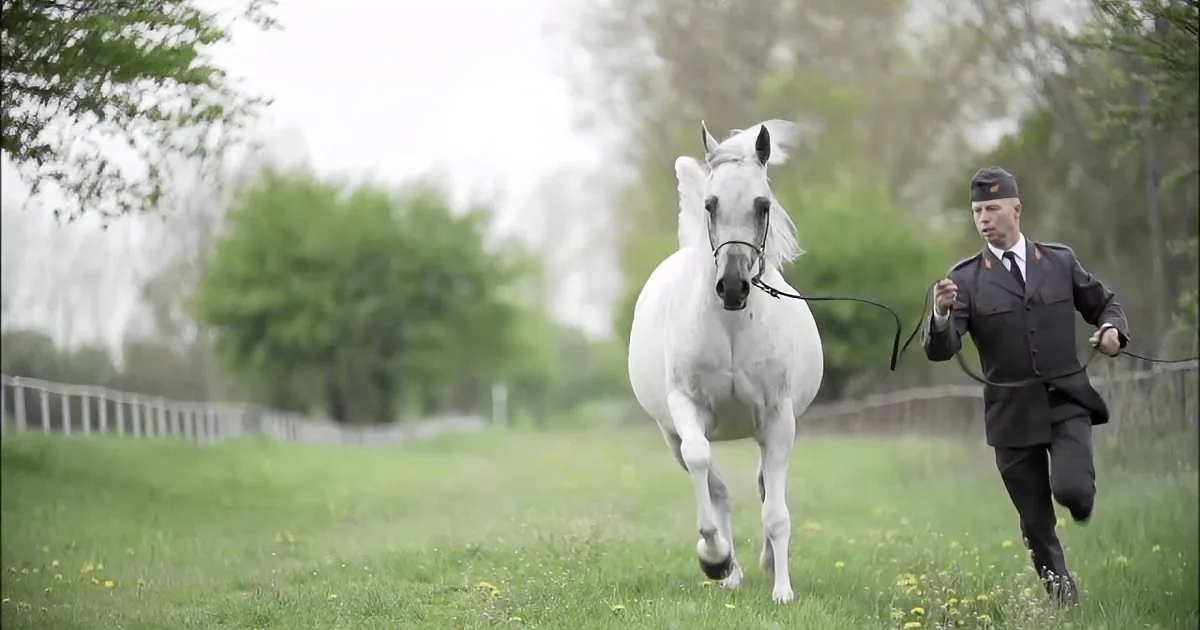 He Takes off Her Reins. but When She Starts Running, My Jaw Dropped to the Ground