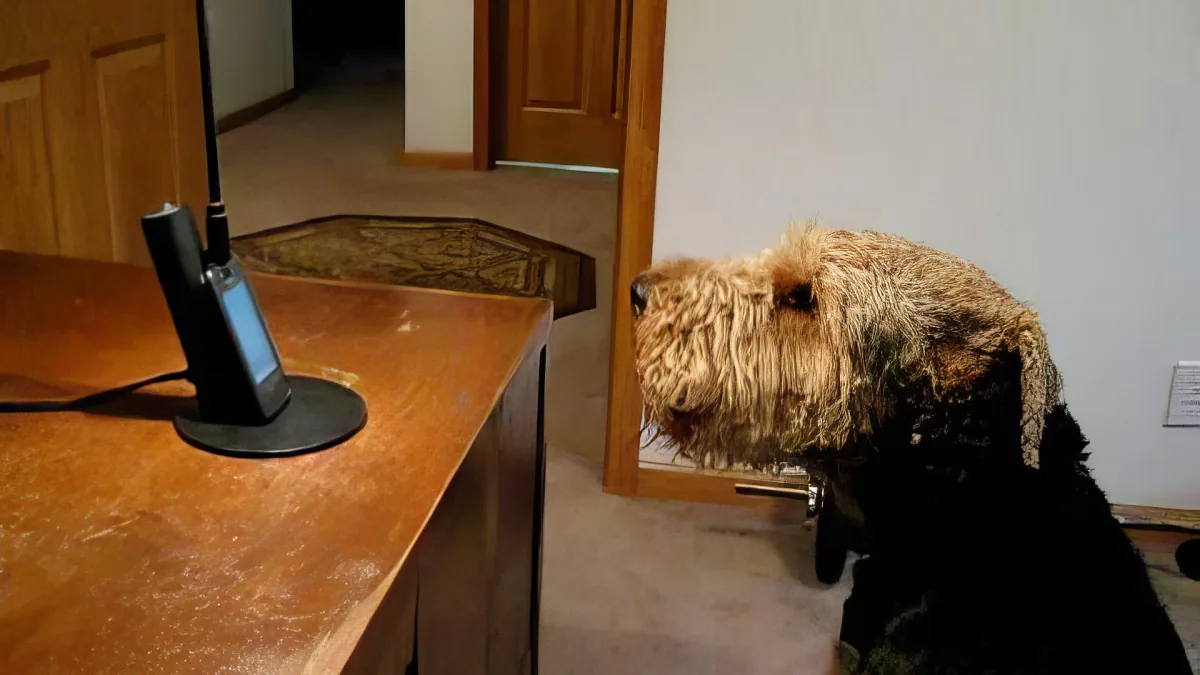 When He Missed His Mom, This Pup Called Her. but She Ends up Laughing out Loud at What He Says!